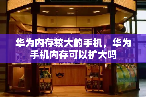 华为内存较大的手机，华为手机内存可以扩大吗-第1张图片-星选测评