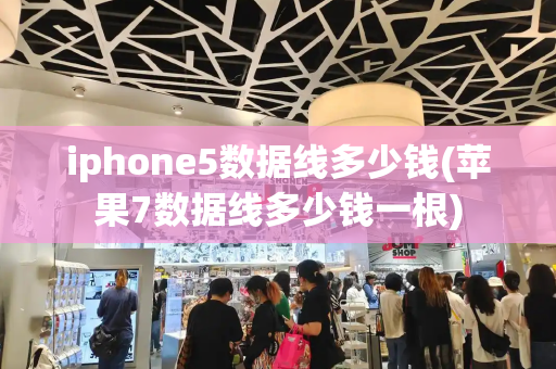 iphone5数据线多少钱(苹果7数据线多少钱一根)