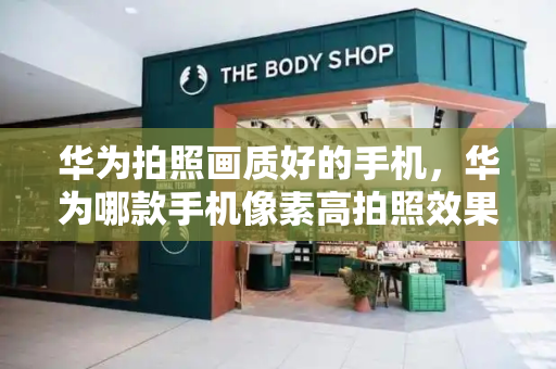 华为拍照画质好的手机，华为哪款手机像素高拍照效果好-第1张图片-星选测评