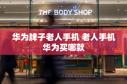 华为牌子老人手机 老人手机华为买哪款-第1张图片-星选测评