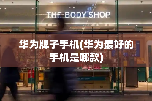 华为牌子手机(华为最好的手机是哪款)