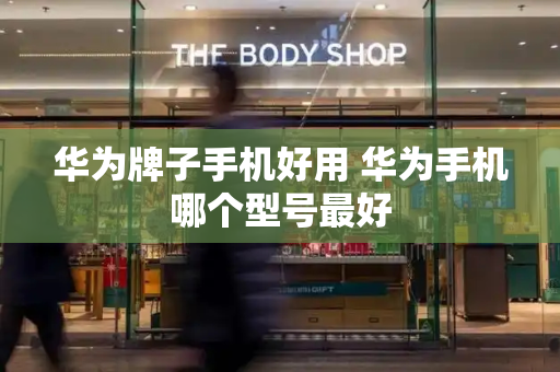 华为牌子手机好用 华为手机哪个型号最好