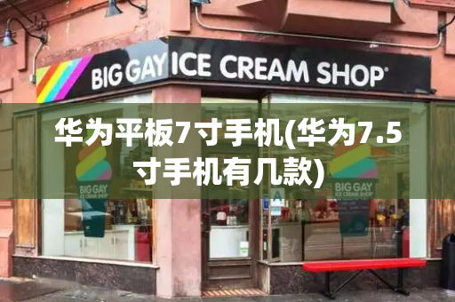 华为平板7寸手机(华为7.5寸手机有几款)-第1张图片-星选测评