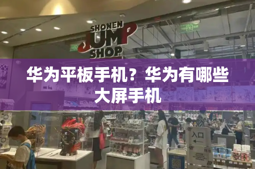 华为平板手机？华为有哪些大屏手机-第1张图片-星选测评