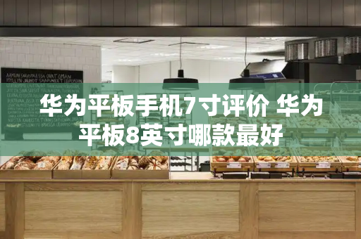 华为平板手机7寸评价 华为平板8英寸哪款最好-第1张图片-星选测评