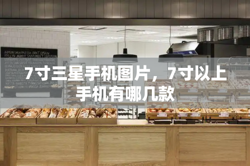 7寸三星手机图片，7寸以上手机有哪几款
