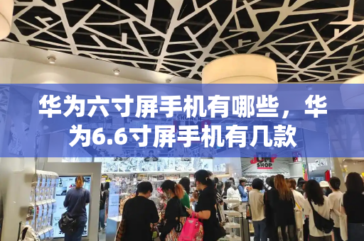 华为六寸屏手机有哪些，华为6.6寸屏手机有几款-第1张图片-星选测评