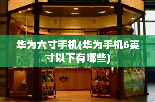 华为六寸手机(华为手机6英寸以下有哪些)