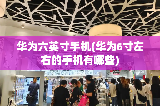 华为六英寸手机(华为6寸左右的手机有哪些)-第1张图片-星选测评