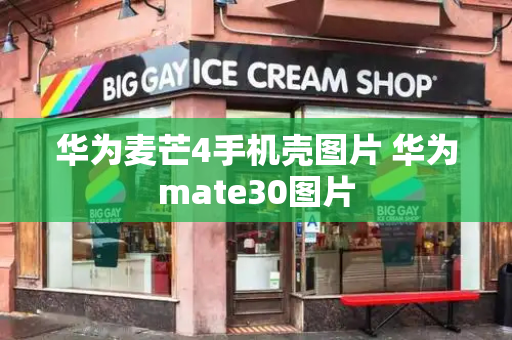 华为麦芒4手机壳图片 华为mate30图片