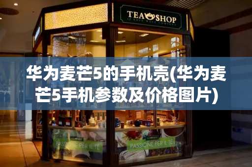 华为麦芒5的手机壳(华为麦芒5手机参数及价格图片)-第1张图片-星选测评