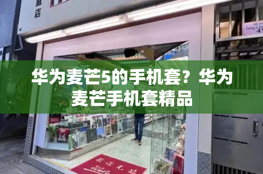 华为麦芒5的手机套？华为麦芒手机套精品