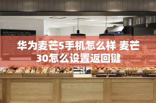华为麦芒5手机怎么样 麦芒30怎么设置返回键-第1张图片-星选测评