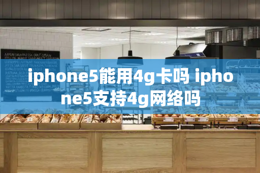iphone5能用4g卡吗 iphone5支持4g网络吗