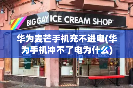 华为麦芒手机充不进电(华为手机冲不了电为什么)-第1张图片-星选测评