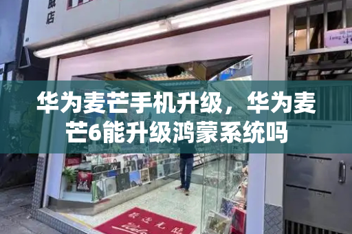华为麦芒手机升级，华为麦芒6能升级鸿蒙系统吗-第1张图片-星选测评