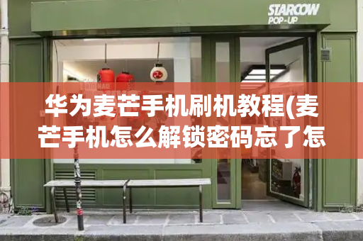 华为麦芒手机刷机教程(麦芒手机怎么解锁密码忘了怎么办)-第1张图片-星选测评