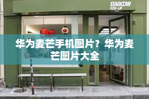 华为麦芒手机图片？华为麦芒图片大全