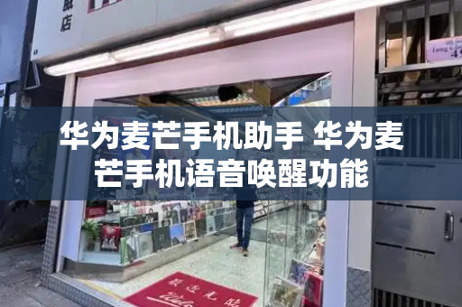 华为麦芒手机助手 华为麦芒手机语音唤醒功能-第1张图片-星选测评