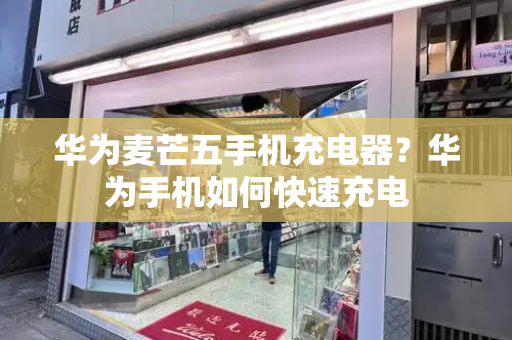 华为麦芒五手机充电器？华为手机如何快速充电-第1张图片-星选测评