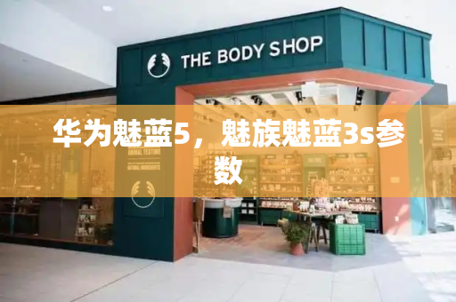 华为魅蓝5，魅族魅蓝3s参数