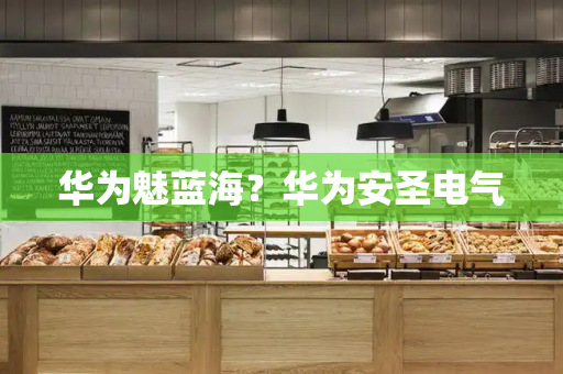 华为魅蓝海？华为安圣电气