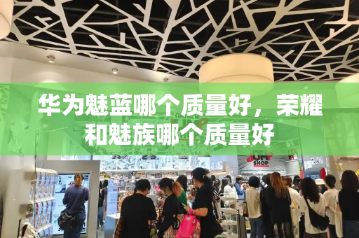 华为魅蓝哪个质量好，荣耀和魅族哪个质量好-第1张图片-星选测评