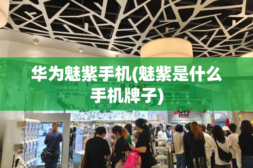 华为魅紫手机(魅紫是什么手机牌子)