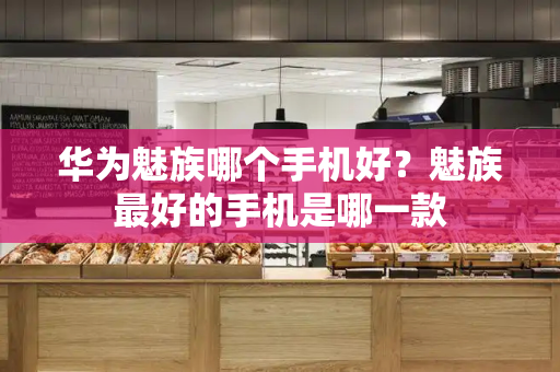 华为魅族哪个手机好？魅族最好的手机是哪一款-第1张图片-星选测评
