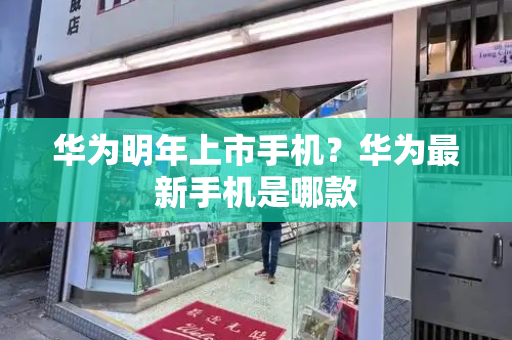 华为明年上市手机？华为最新手机是哪款-第1张图片-星选测评