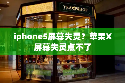 iphone5屏幕失灵？苹果X屏幕失灵点不了