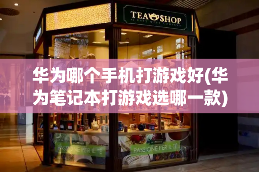 华为哪个手机打游戏好(华为笔记本打游戏选哪一款)-第1张图片-星选测评