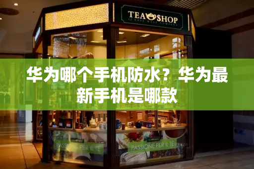 华为哪个手机防水？华为最新手机是哪款-第1张图片-星选测评
