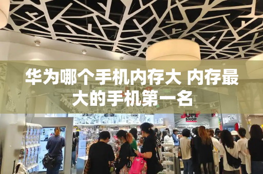 华为哪个手机内存大 内存最大的手机第一名-第1张图片-星选测评