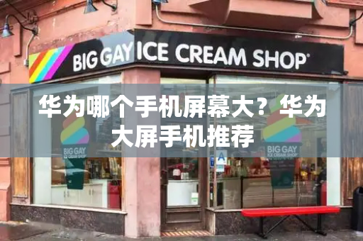 华为哪个手机屏幕大？华为大屏手机推荐-第1张图片-星选测评