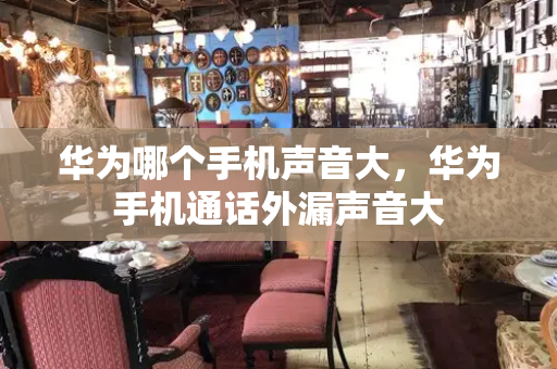 华为哪个手机声音大，华为手机通话外漏声音大-第1张图片-星选测评