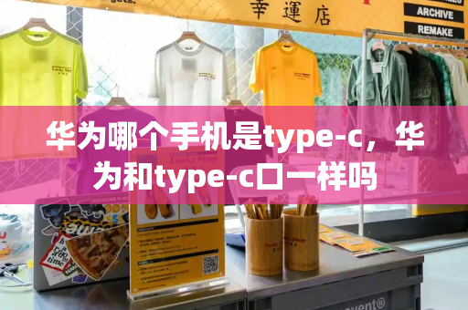 华为哪个手机是type-c，华为和type-c口一样吗-第1张图片-星选测评
