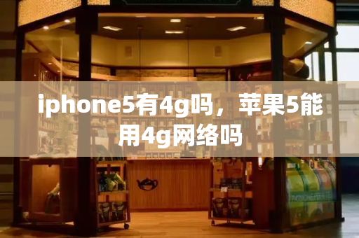 iphone5有4g吗，苹果5能用4g网络吗