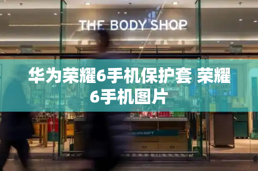 华为荣耀6手机保护套 荣耀6手机图片-第1张图片-星选测评
