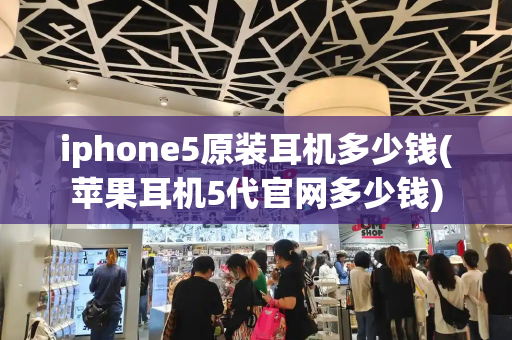 iphone5原装耳机多少钱(苹果耳机5代官网多少钱)
