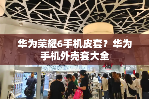 华为荣耀6手机皮套？华为手机外壳套大全