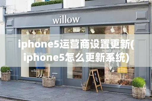 iphone5运营商设置更新(iphone5怎么更新系统)