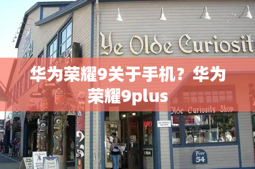 华为荣耀9关于手机？华为荣耀9plus