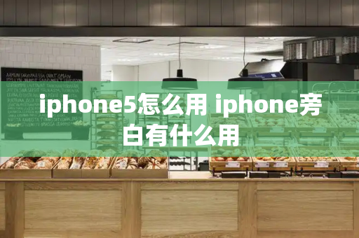 iphone5怎么用 iphone旁白有什么用
