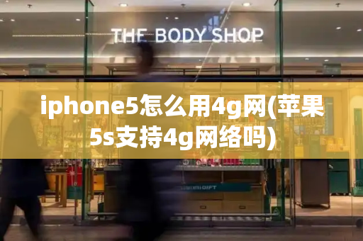 iphone5怎么用4g网(苹果5s支持4g网络吗)-第1张图片-星选测评