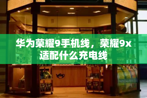 华为荣耀9手机线，荣耀9x适配什么充电线