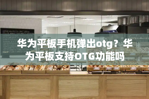 华为平板手机弹出otg？华为平板支持OTG功能吗
