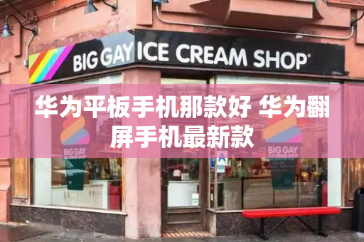 华为平板手机那款好 华为翻屏手机最新款-第1张图片-星选测评