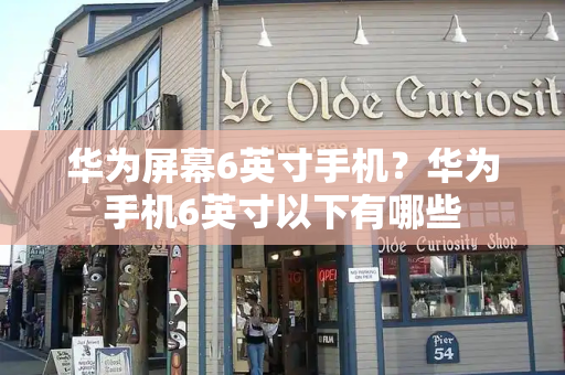 华为屏幕6英寸手机？华为手机6英寸以下有哪些-第1张图片-星选测评
