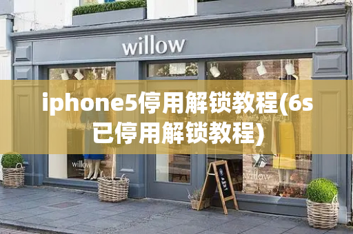 iphone5停用解锁教程(6s已停用解锁教程)